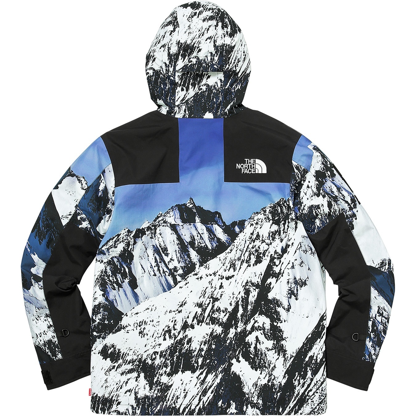 Supreme®/The North Face® Mountain Parka view 7